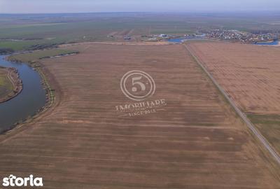 Teren de 17500 mp, în Vasilați - 6