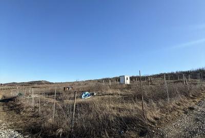 Teren de 400 mp, în Tomești - 6