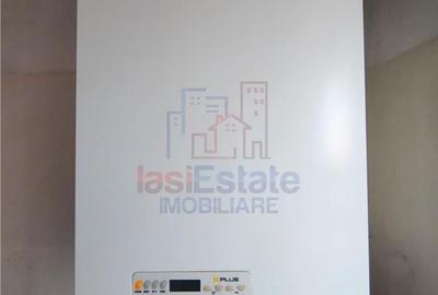 Apartament cu 2 camere decomandat în Alexandru cel Bun - 12