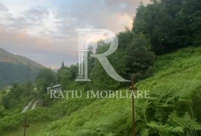 Teren de 10900 mp, în Căbești - 4