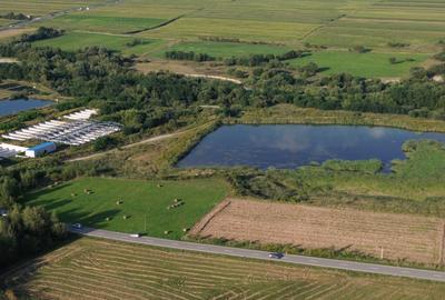 Teren agricol extravilan de 510 mp, în Cârțișoara - 6