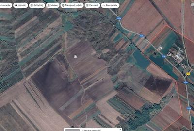 Teren de 3608 mp, în Ardeoani - 5