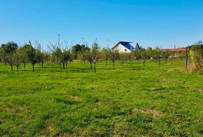 Casa si teren de vanzare (6000 mp) - 8