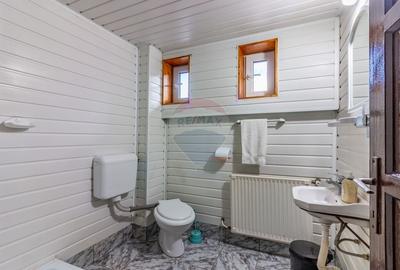 Casă individuală cu 10 camere cu Teren 250 Mp în Castelul Peleș - 11