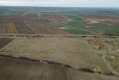 Teren 22.500 mp – Pecica, jud. Arad - 8