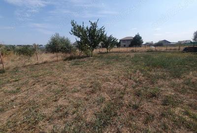 Teren intavilan curti constructii 500 mp Sat Costi 35 euro mp - 5