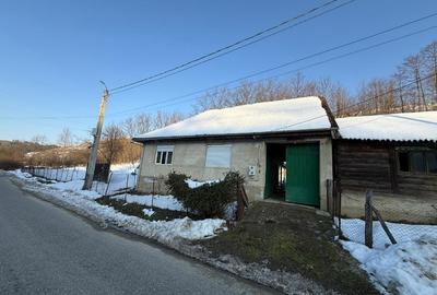 Casă individuală cu 2 camere cu Teren 1079 Mp în Târnova - 2