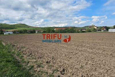Teren de 2000 mp, în Ighiu - 3