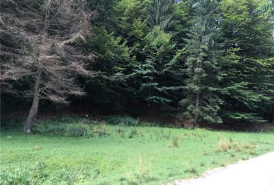 Teren de 3825 mp, în Vama Buzăului - 3