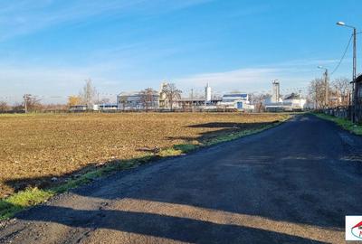 Teren de 8060 mp, în Central