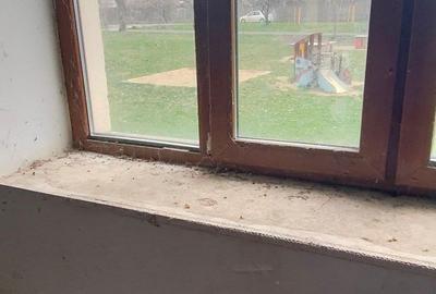 Casa Blascovici de vanzare - 12