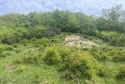 Teren Construcții intravilan de 1000 mp, în Corunca - 6