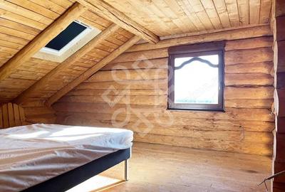 Casă cu Teren 2046 Mp în Tileagd - 15