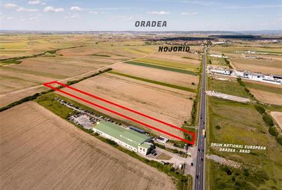 Teren intravilan de 7959 mp, în Nojorid - 3