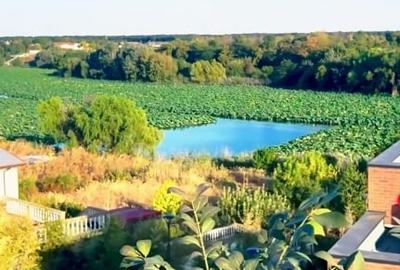 Casă individuală cu 4 camere cu Teren 500 Mp în Snagov - 8