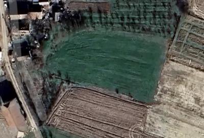 Teren de 4600 mp, în Gepiu - 1