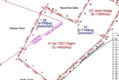 Teren Construcții intravilan de 7948 mp, în Barcani - 2