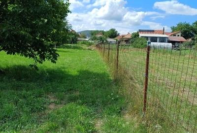 Teren Construcții intravilan de 2120 mp, în Gilău - 4