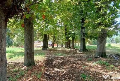 Casă cu 3 camere cu Teren 18449 Mp în Păingeni - 4
