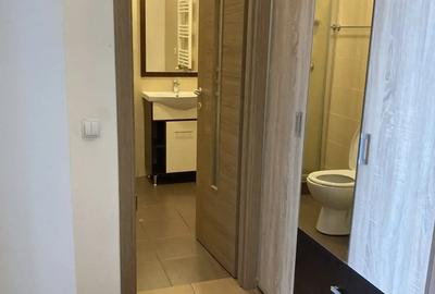 Garsonieră decomandată în Turnișor - 5