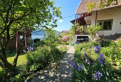 Clisura Dunarii Pensiune Casa cu Smochini - 8