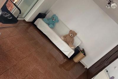 Casă cu 4 camere cu Teren 4000 Mp în Musculești - 4