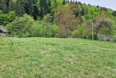 Teren intravilan 2936 mp. Bistrița jud Neamt - 3