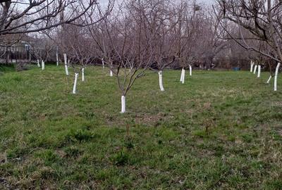 Teren de 600 mp, în Dudașu Schelei - 1