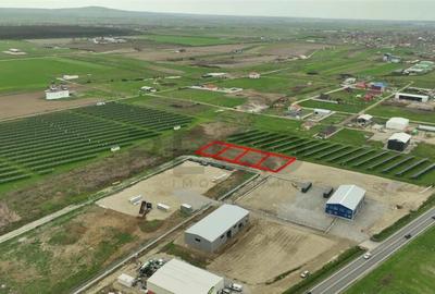 RECO , teren intravilan in Osorhei - 2