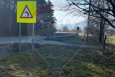 Teren Construcții intravilan de 7968 mp, în Est - 7