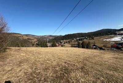 Teren Construcții intravilan de 12500 mp, în Galbena - 3