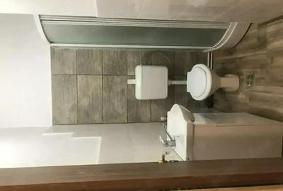 Vand - Inchiriez spatiu comercial birouri central 55 mp - 8