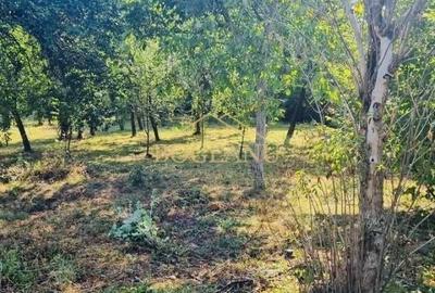 Teren intravilan de 2822 mp, în Șagului - 3