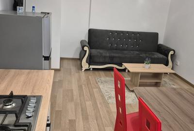 Elite residence,prima inchiriere - 7