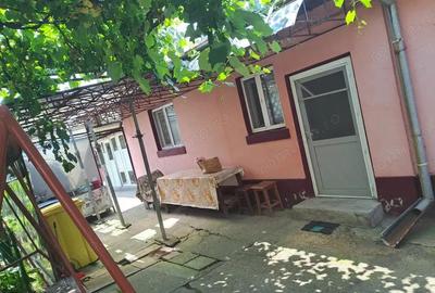 Casa parter , Bariera Valcii , 816 mp teren - 10