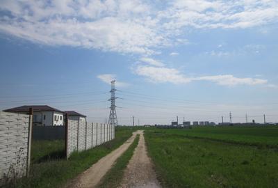 Domnesti-Simfoniei. - 6