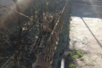 Casă cu 2 camere cu Teren 350 Mp în Bălcescu - 3