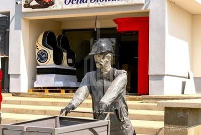 Afacere Profitabilă de Vânzare–Salină Artificială Funcțională în Ocna Sibiului - 16