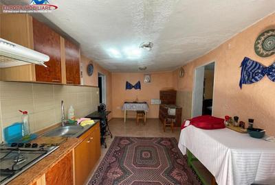 Casa de in localitatea Niculitel-judet Tulcea - 11