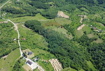 Teren intravilan de vanzare 12,700mp Codru Butesii / Stra... - 1