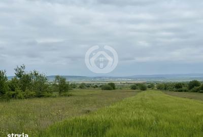 Teren de 650 mp, în Poplaca - 1