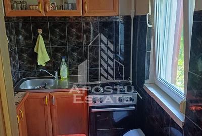 Apartament cu 2 camere nedecomandat, mobilat în Șagului - 5
