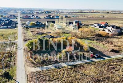 Teren intravilan imprejmuit, vegetatie matura 1200mp Sag Manastire - 8