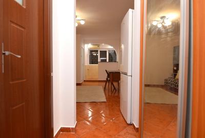 INCHIRIERE GARSONIERA DRISTOR - RACARI - LOC DE PARCARE - 16