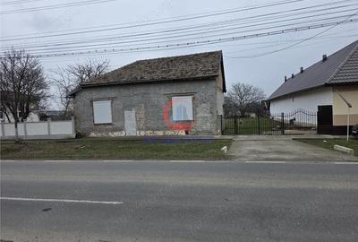 Casă cu Teren 1000 Mp în Pișchia