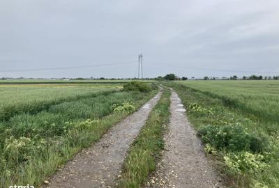 Teren de 4801 mp, în Săbăreni