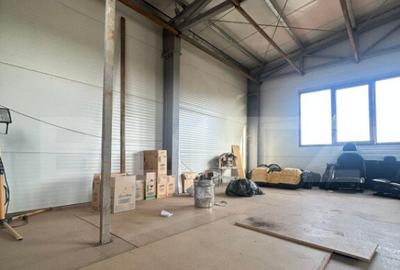 Hala de vanzare 365 mp, Mosnita Noua! - 8