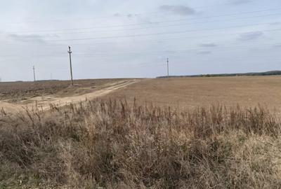 Teren agricol extravilan de 5000 mp, în Malu Mare - 1