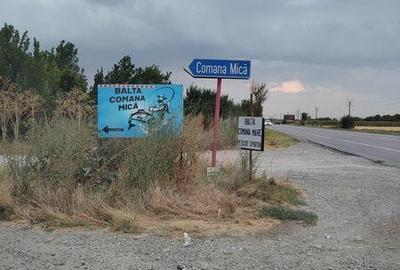 Teren de 11000 mp, în Movilița - 6