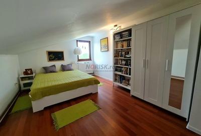 Vila + Afacere 15.000mp Clinceni - 18